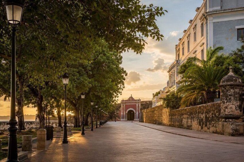 Puerto Rico Self-Guided Tour: Forts, Bioluminescent Bays & Jungle 2