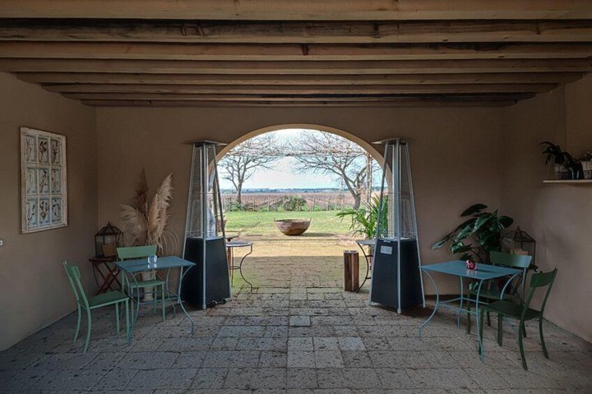Un patio exterior con vistas a un jardín, una mesa, sillas y una planta ornamental. 1