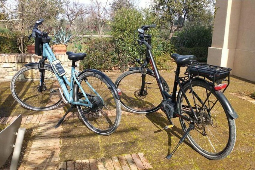 Dos bicicletas estacionadas en un patio de ladrillo con un jardín al fondo. 5