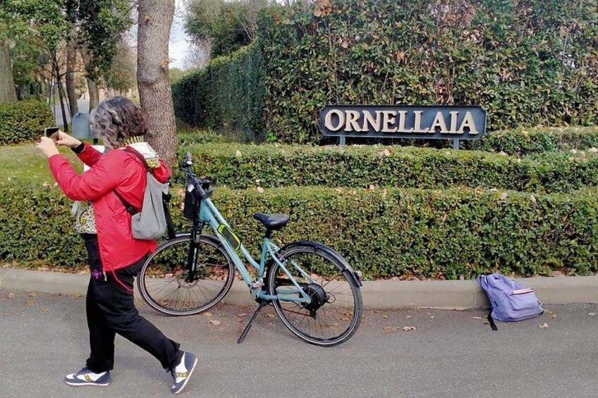 A person taking a photo, a bicycle, and a street sign that reads 'ORNELLAIA'. 1