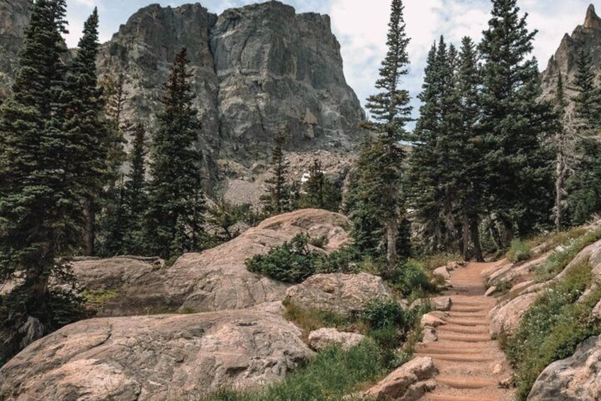 A rocky mountain trail surrounded by evergreen trees. 3
