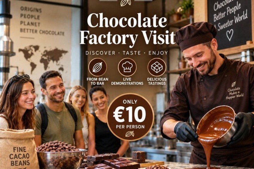 Express Visit of a Real Bean-to-Bar Chocolate Factory in Brussels 1