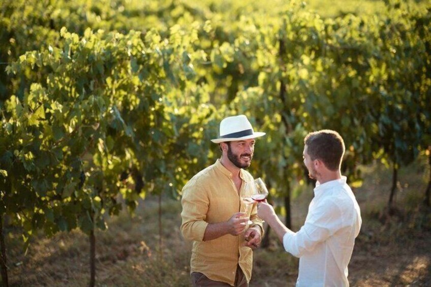 Two people in a vineyard holding a wine glass. 3