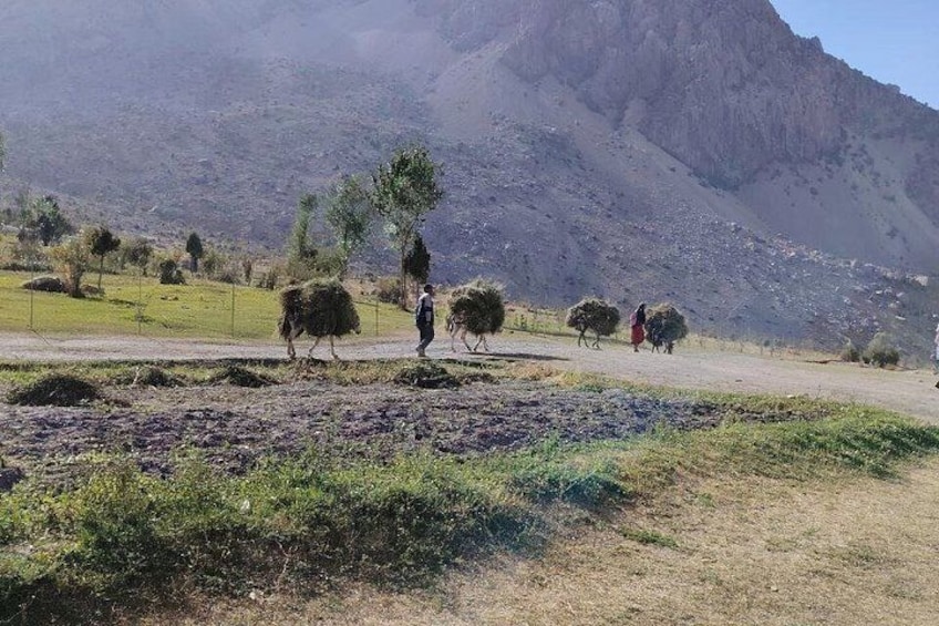 Seven Lakes and Fann Mountains Group Day Tour from Samarkand 5