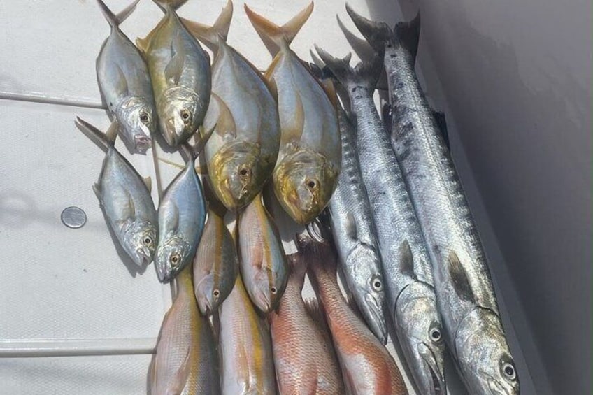 4 Hour Private Fishing Charter- Deepsea, Reef or Inshore Fishing 3