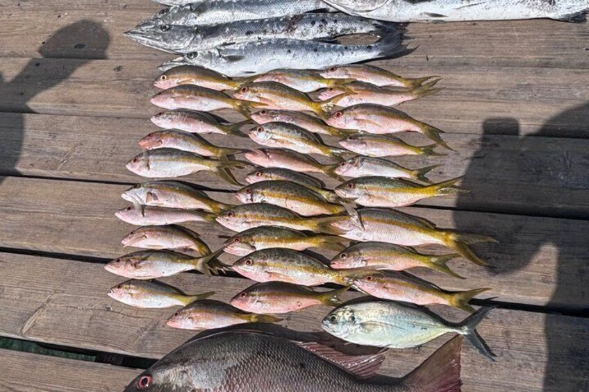4 Hour Private Fishing Charter- Deepsea, Reef or Inshore Fishing 2