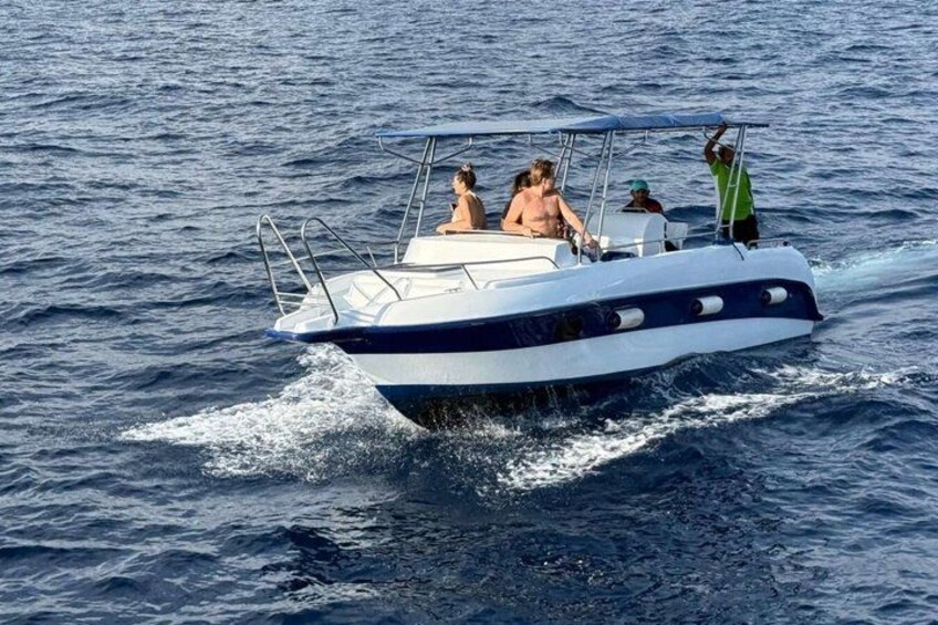 Speed Boat Whale Watching Mirissa Private Tour Breakfast Included 1