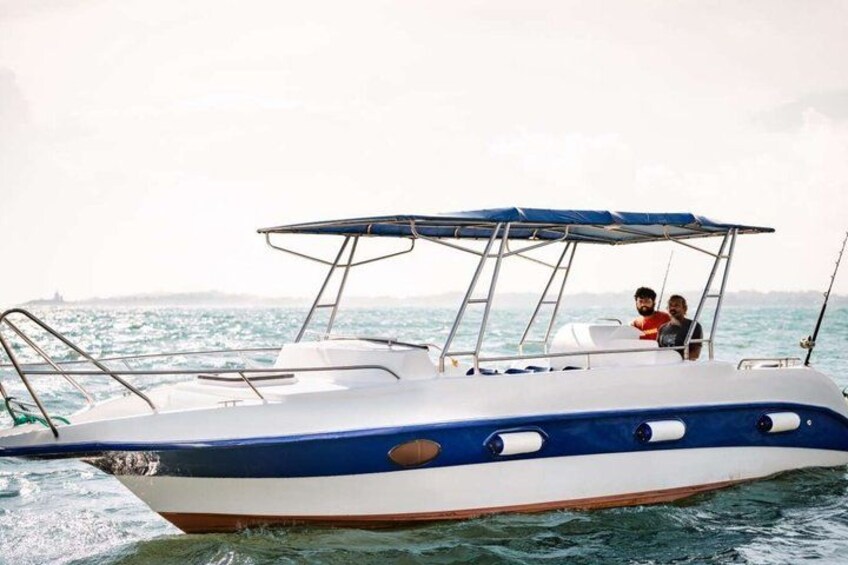 Speed Boat Whale Watching Mirissa Private Tour Breakfast Included 5