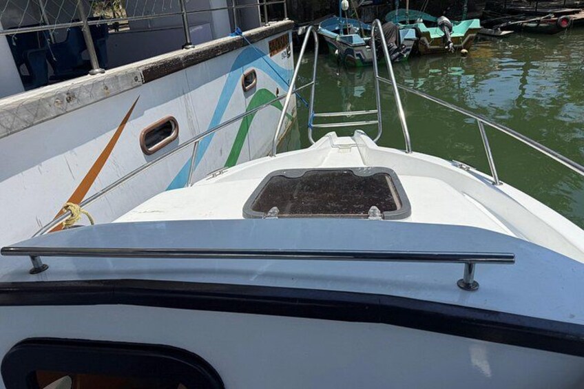 Speed Boat Whale Watching Mirissa Private Tour Breakfast Included 1