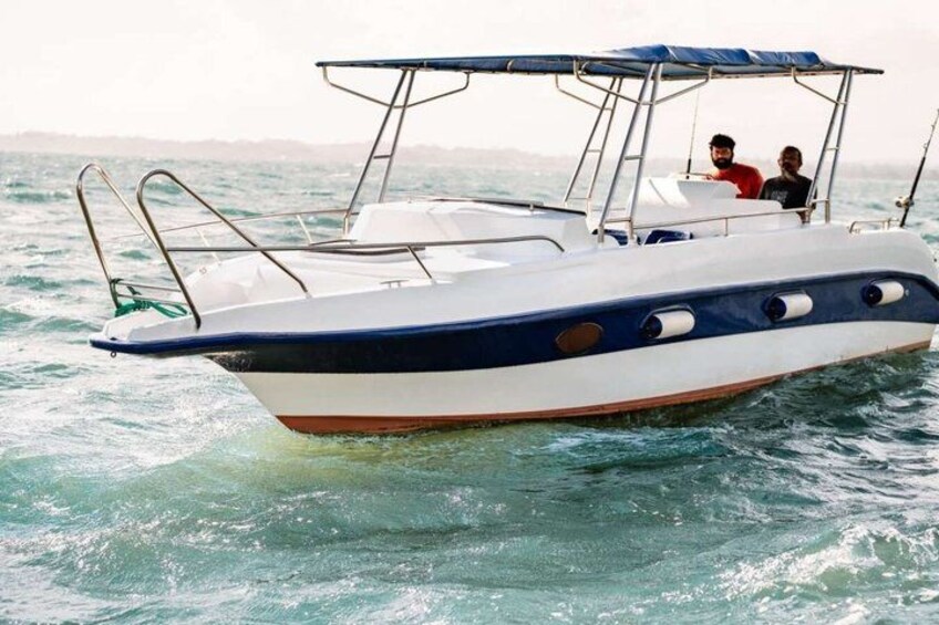 Speed Boat Whale Watching Mirissa Private Tour Breakfast Included 4