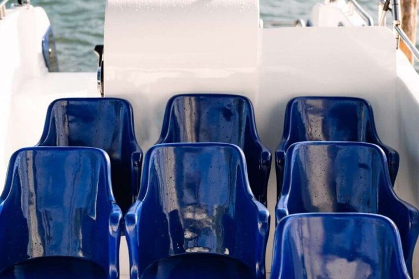 Speed Boat Whale Watching Mirissa Private Tour Breakfast Included 3