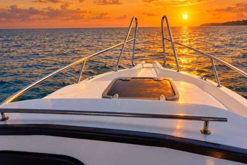 Speed Boat Whale Watching Mirissa Private Tour Breakfast Included 2