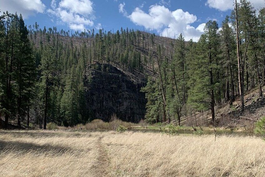 4-Day Backpacking Trek in AZ White Mountains – Beginners Welcome! 2