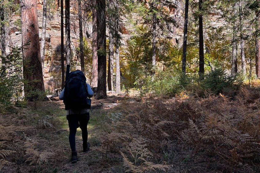 4-Day Backpacking Trek in AZ White Mountains – Beginners Welcome! 5