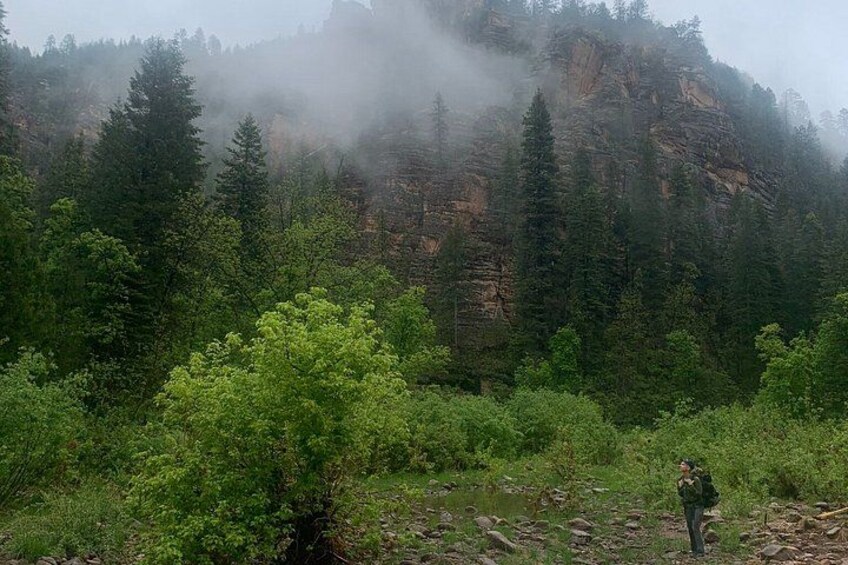 4-Day Backpacking Trek in AZ White Mountains – Beginners Welcome! 4