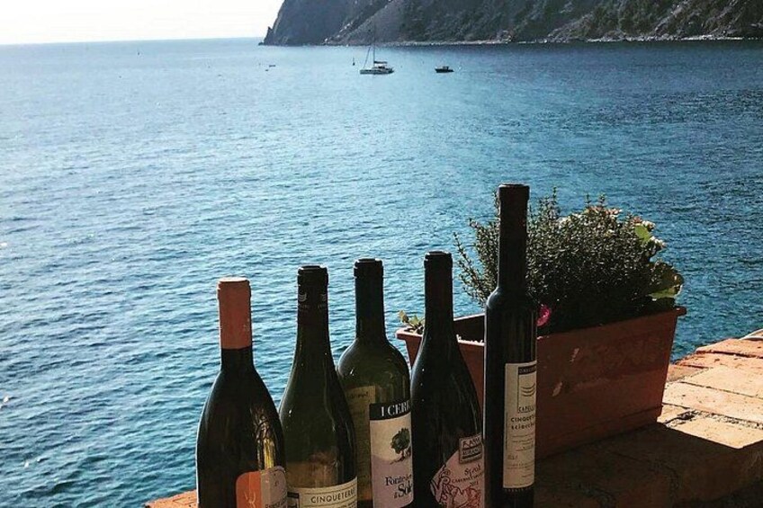 Seaview Wine Tasting Cinque Terre Wine School 3