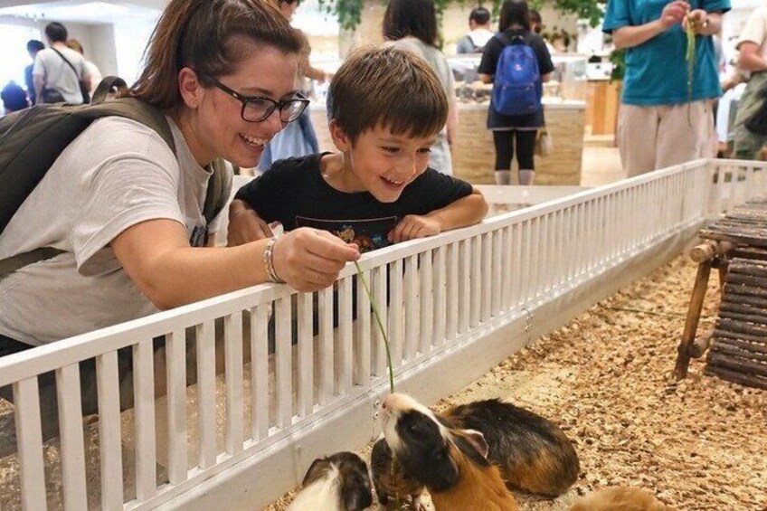 Personalized Tokyo Kid-Friendly Tour: Animals, Arcade & More 1