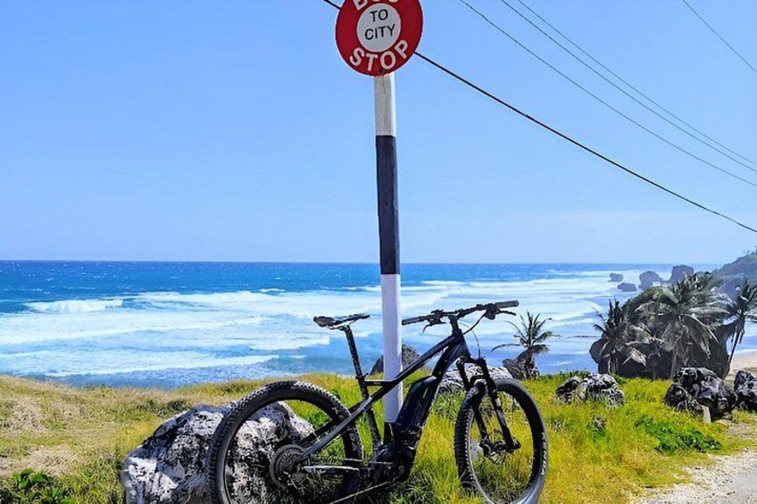 Una strada costiera con un segnale di stop, una bicicletta e l'oceano sullo sfondo. 4