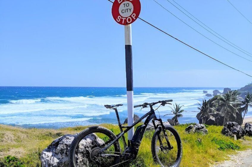 A stop sign, a bicycle, and a coastal landscape with the ocean and palm trees. 4