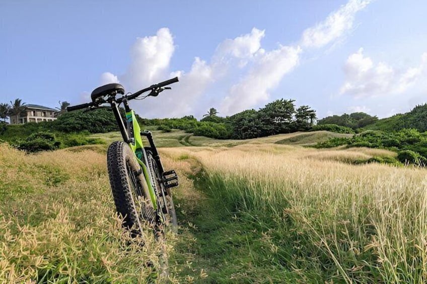 A mountain bike in a grassy field with a house and trees in the background. 3
