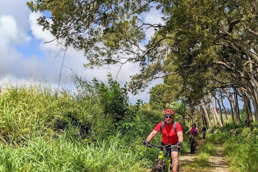 A person riding a bicycle on a narrow trail surrounded by tall grass and trees. 5