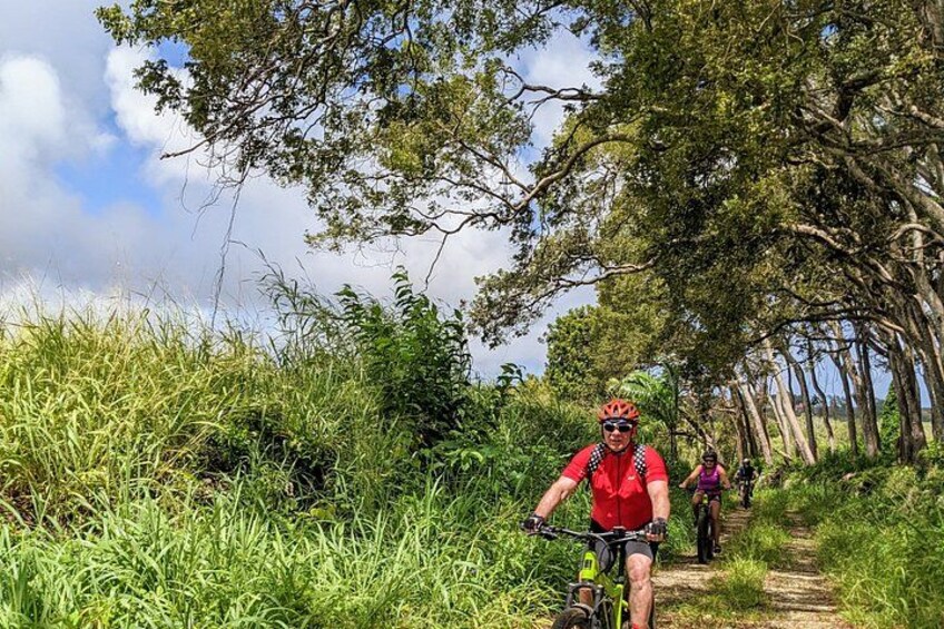 Una persona che pedala su un sentiero alberato. 5