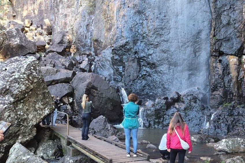 Gold Coast Hinterland Waterfalls & Rainforest Private Tour 2