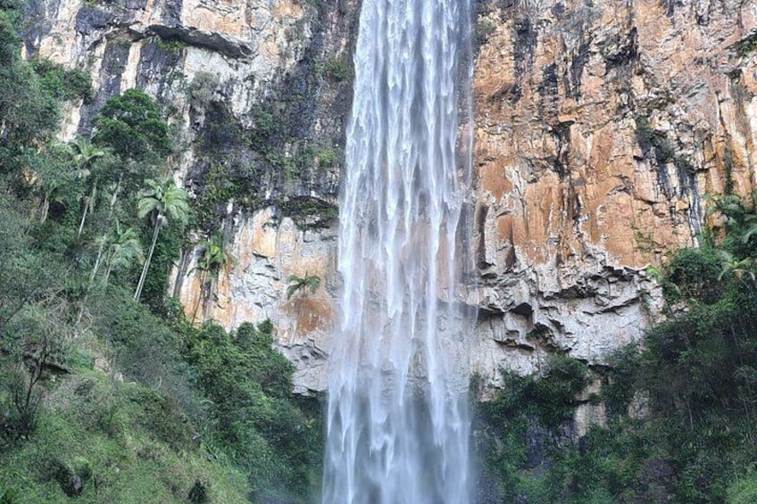 Gold Coast Hinterland Waterfalls & Rainforest Private Tour 2