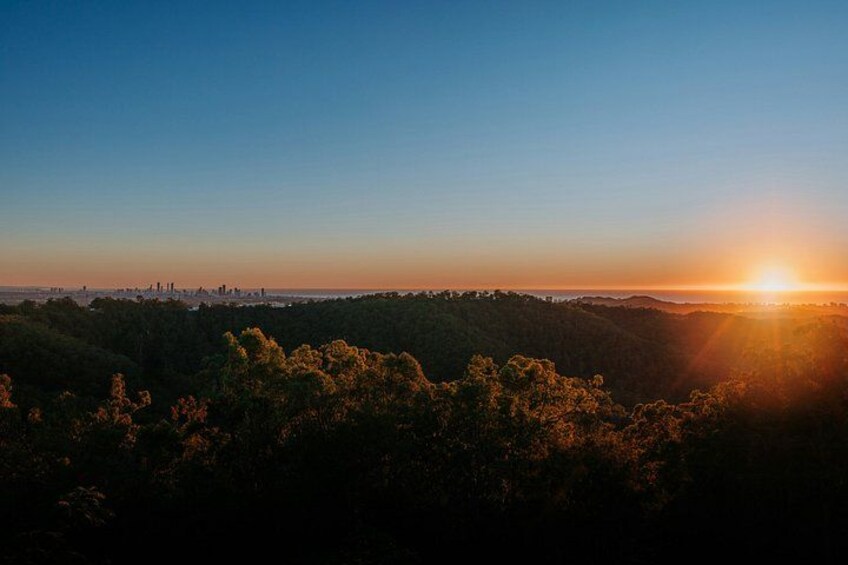 Gold Coast Hinterland Waterfalls & Rainforest Private Tour 2