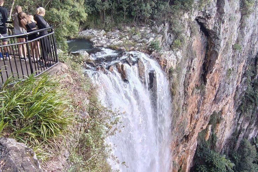 Gold Coast Hinterland Waterfalls & Rainforest Private Tour 2