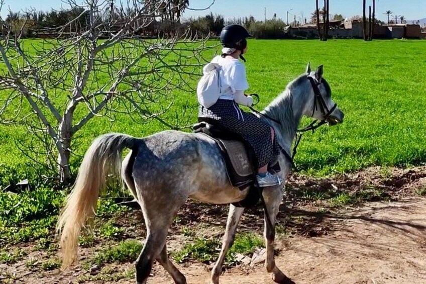 Eine Person reitet ein Pferd auf einem Feldweg, im Hintergrund grüne Felder. 5