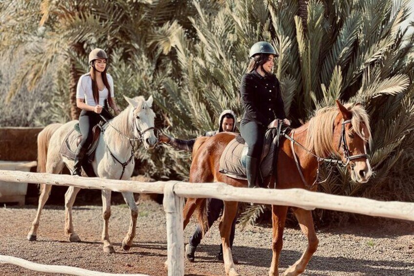 Drei Personen reiten Pferde in einer Reithalle im Freien, im Hintergrund sind Palmen zu sehen. 1