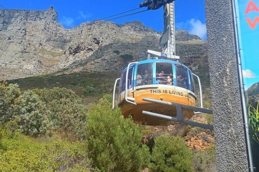 Eine Seilbahn mit dem Schriftzug 'THIS IS LIVING', die über eine gebirgige Landschaft fliegt. 2