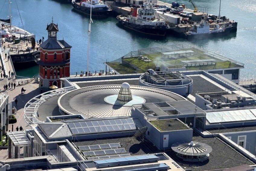 Robben Island and Table Mountain Tour with Transfers and Tickets 2