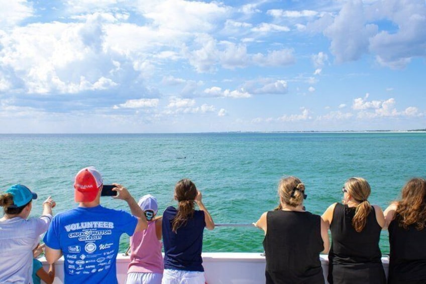 Un groupe de personnes se trouve sur un bateau, contemplant l’océan. 5