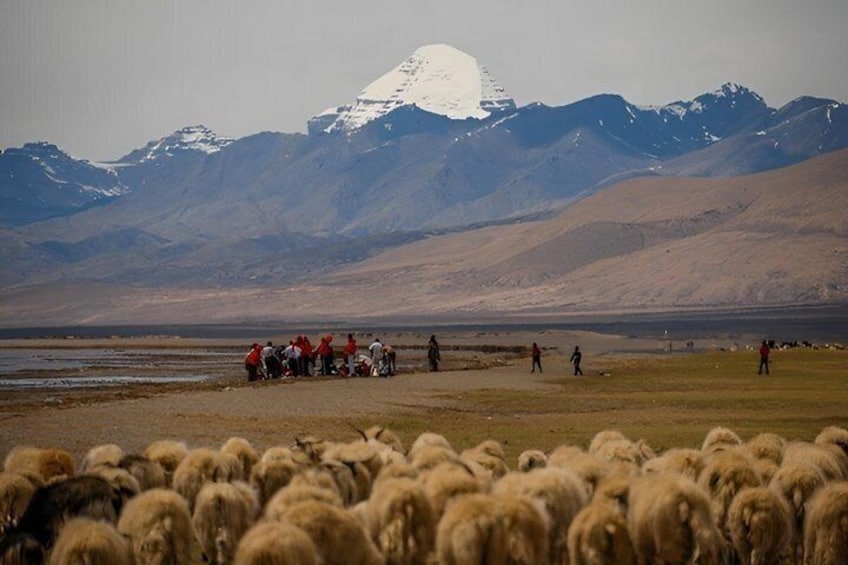 A mountainous landscape with a flock of sheep and a group of people in red jackets near a body of water. 1