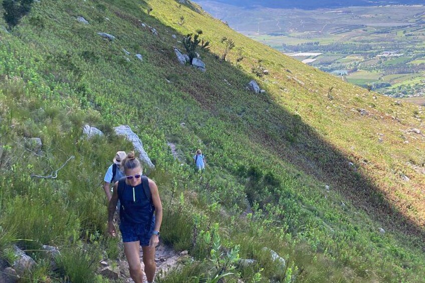 Helderberg West Peak Hike - Somerset West 3