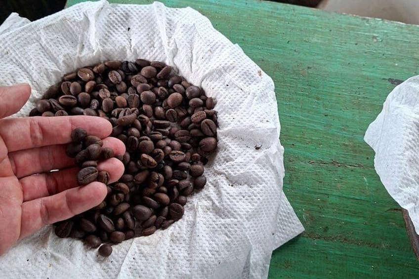 Coffee Plantation Hotel Tour at MesaStila Resort fr Semarang 5