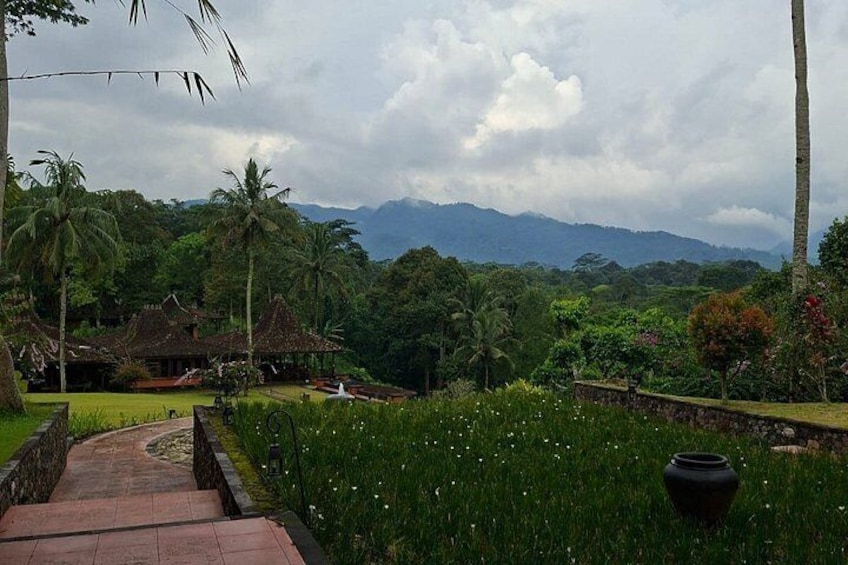 Coffee Plantation Hotel Tour at MesaStila Resort fr Semarang 2