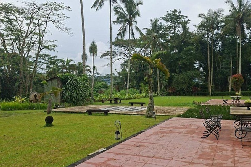 A garden with a paved walkway, benches, and palm trees. 2