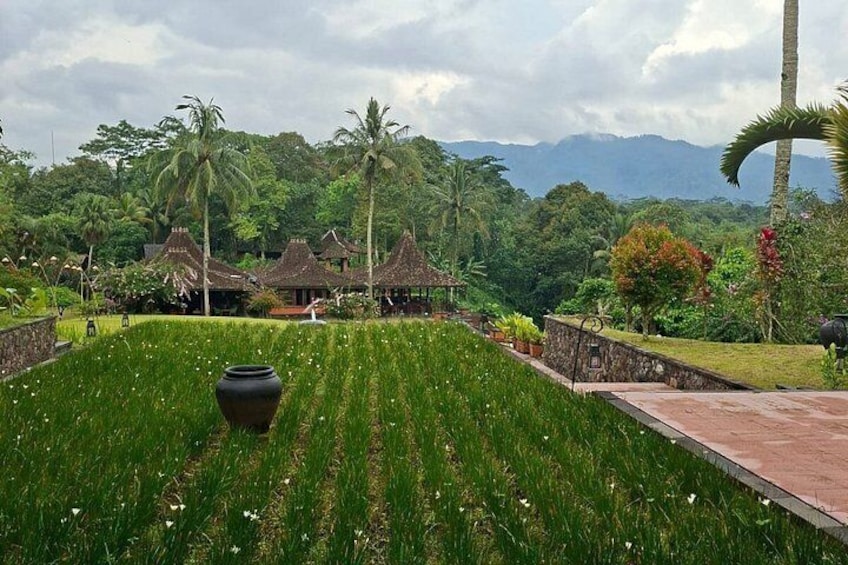 A lush garden with a large black vase, a thatched-roof structure, and a palm tree. 1