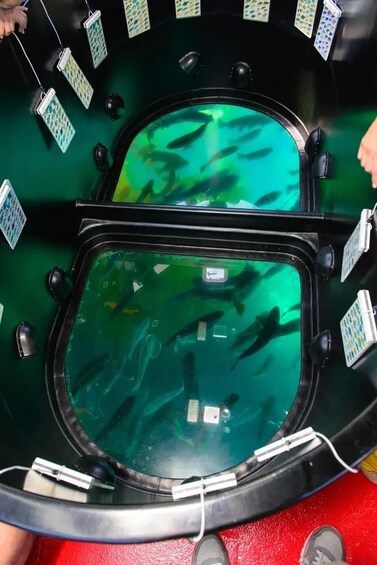 A large aquarium with two tanks, each containing fish and surrounded by card game tables. 3