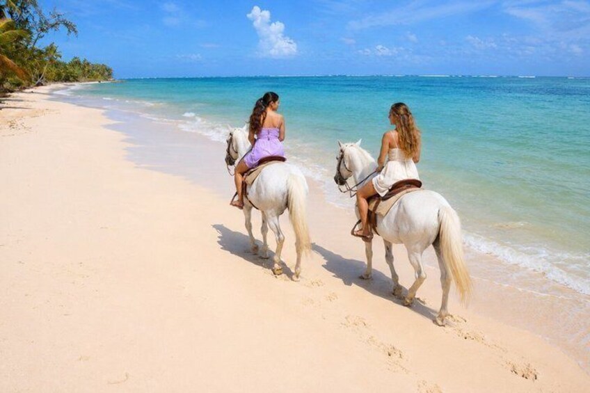 Bahamas Nassau Beach Horse Ride Sea Dip 3