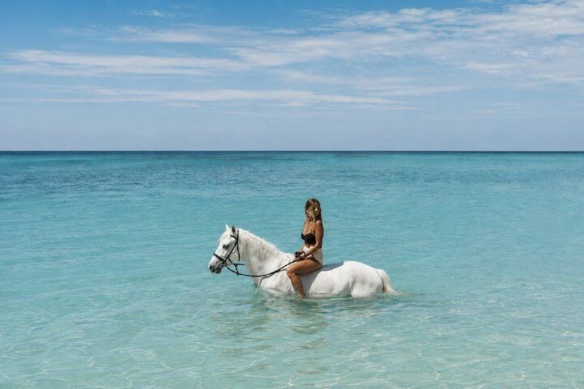 Bahamas Nassau Beach Horseback Ride with Sea Dip and Photos 1