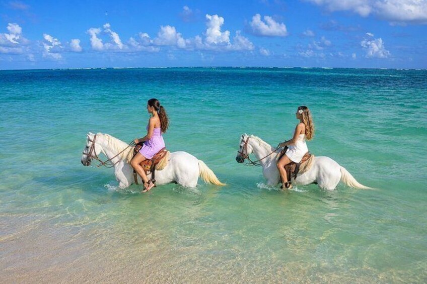 Bahamas Nassau Beach Horse Ride Sea Dip 2