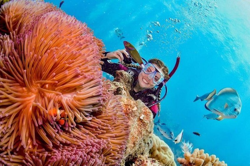 Ein Taucher, umgeben von Anemonen und Fischen in einer klaren, blauen Unterwasserlandschaft. 1