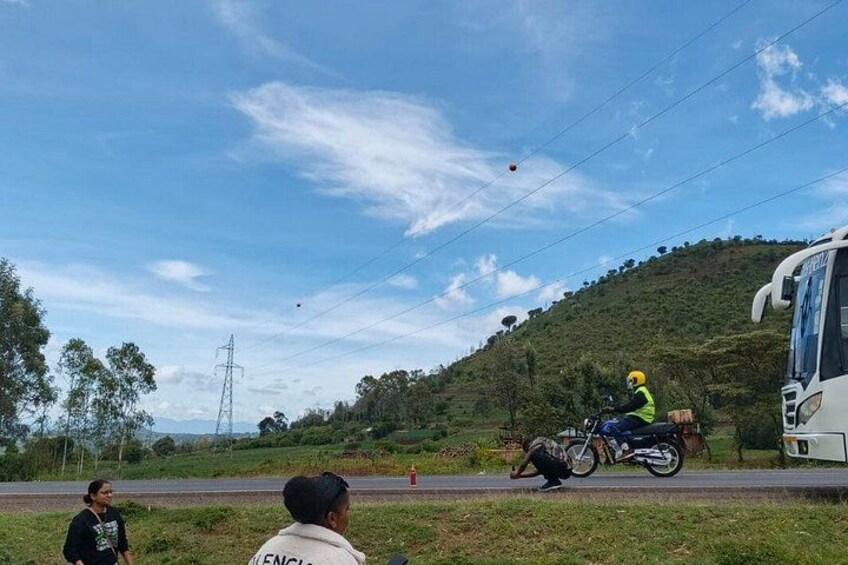 A person on a motorcycle, a bus, and a hill with trees. 4
