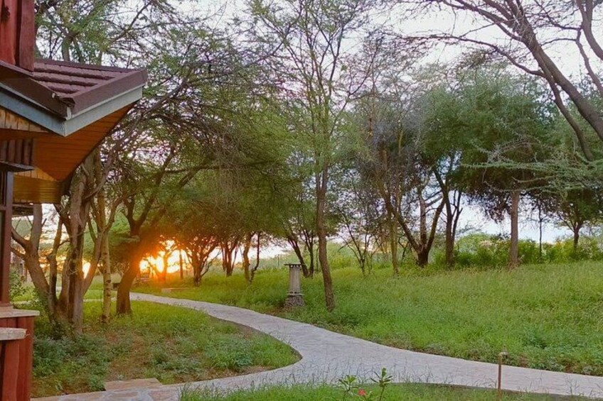 A pathway leading through a grassy area with trees and a building on the left. 3