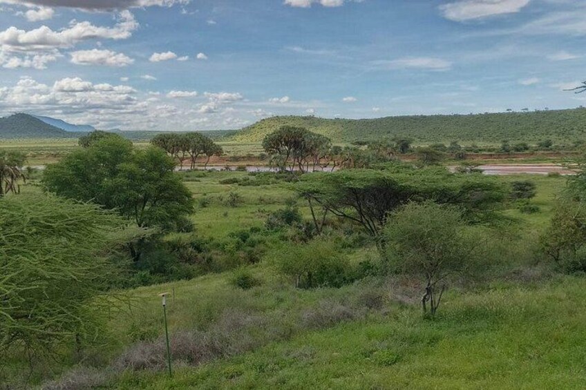A savanna landscape with scattered trees and a distant water body. 5