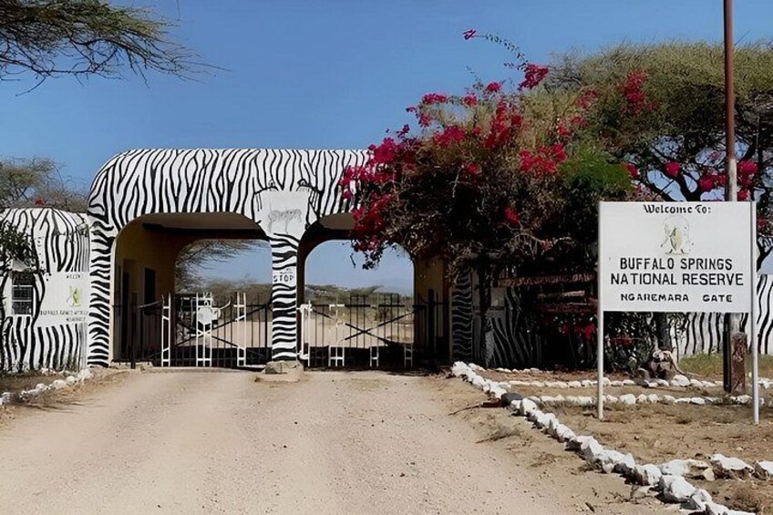 A zebra-striped gate at Buffalo Springs National Reserve entrance. 1